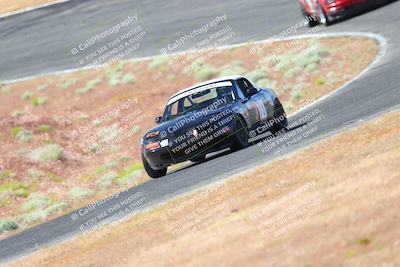 media/May-06-2023-Lucky Dog Racing (Sat) [[8f2256f436]]/Turn 2 10a/